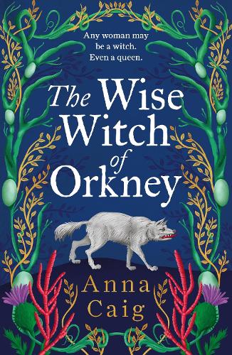 Cover of The Wise Witch of Orkney hardback book by Anna Caig